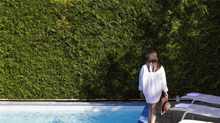 Mercure Paris Sud Les Ulis Other