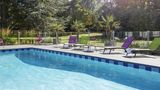 Novotel Lens Noyelles Pool
