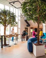 Novotel Metz Hauconcourt Hotel