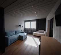 Ibis Styles Linz Room