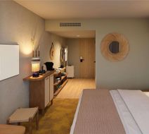 Mercure pont D'Avignon Room