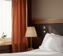 Sofitel Lyon Bellecour Room