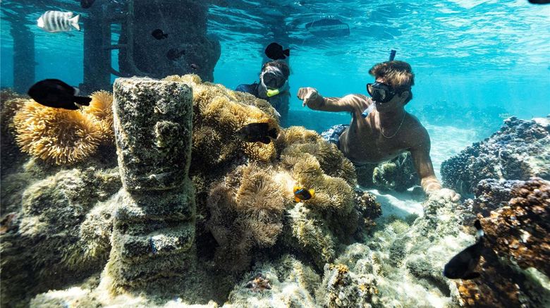 <b>Sofitel Moorea Kia Ora Beach Resort Other</b>. Images powered by <a href="https://iceportal.shijigroup.com/" title="IcePortal" target="_blank">IcePortal</a>.