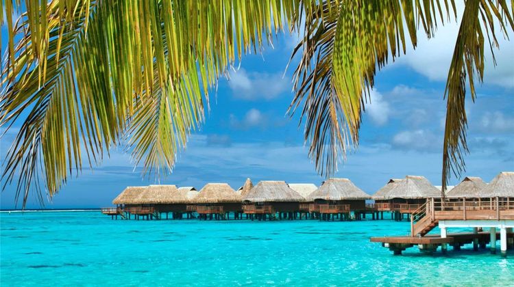 Sofitel Moorea Kia Ora Beach Resort Room
