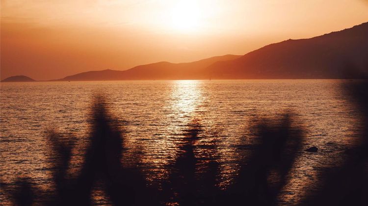 Sofitel Golfe d'Ajaccio Thalasso Restaurant