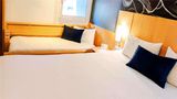 Ibis Hotel Grenoble Room