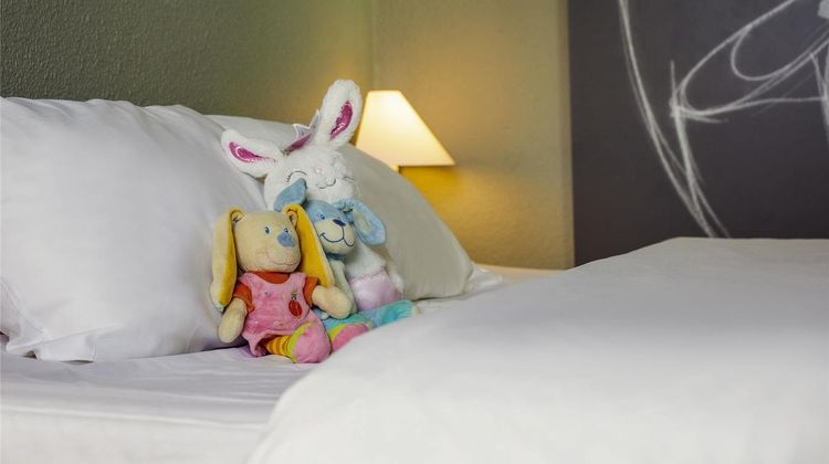 Hotel Ibis Mulhouse Ile Napoleon Room