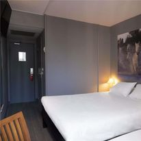 Ibis Arles
