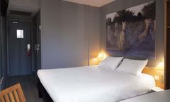 Ibis Arles
