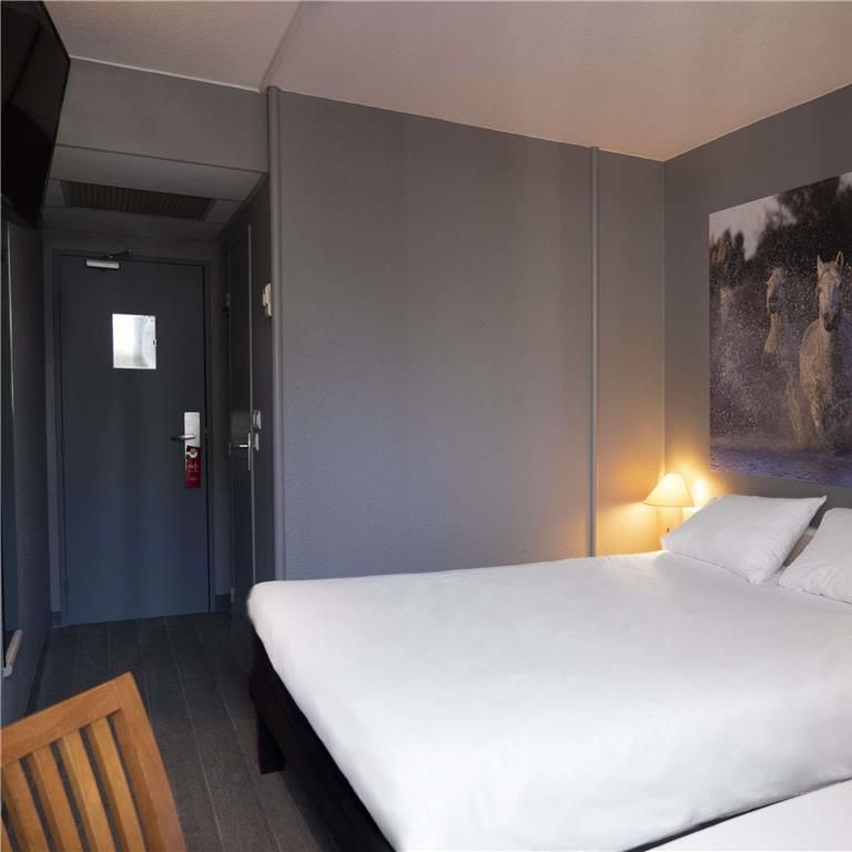 Ibis Arles
