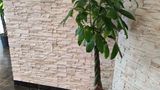Ibis Styles Rennes Centre Gare Nord Exterior