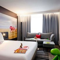 Novotel Gerland Musee des Confluences