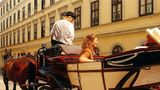 Ibis Wien Mariahilf Other