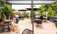 Ibis Hotel Bordeaux Pessac