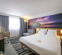 Novotel Lille Centre Room