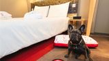 <b>Ibis Hotel Milan Centro Other</b>. Images powered by <a href="https://iceportal.shijigroup.com/" title="IcePortal" target="_blank">IcePortal</a>.