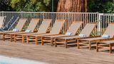 Mercure Paris Sud Parc du Coudray Hotel Pool