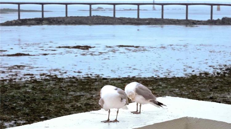 Ibis Roscoff Exterior