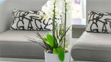 Pullman Cannes Mandelieu Royal Casino Suite