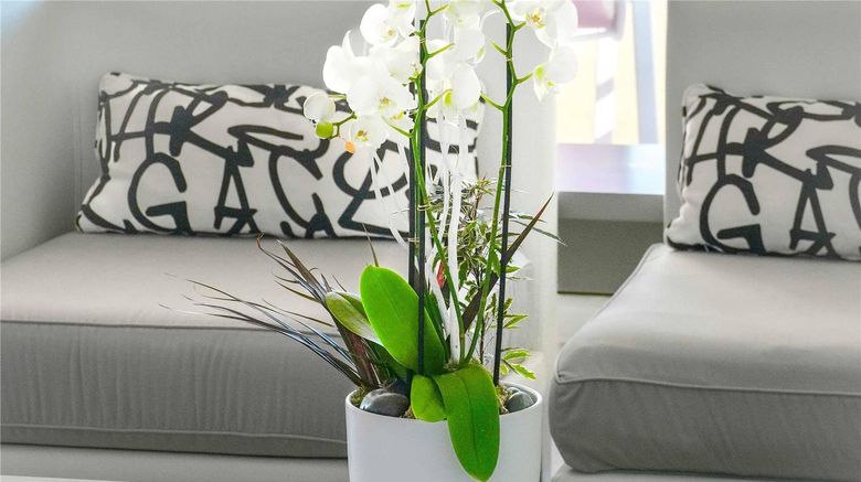 <b>Pullman Cannes Mandelieu Royal Casino Suite</b>. Images powered by <a href="https://iceportal.shijigroup.com/" title="IcePortal" target="_blank">IcePortal</a>.