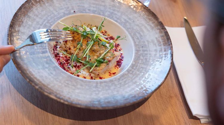 Novotel Angers Lac De Maine Restaurant