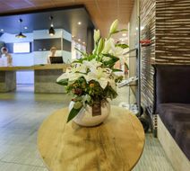 Ibis Hotel Avignon Exterior