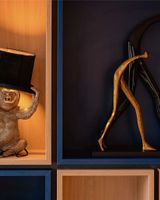 Ibis Sainte Catherine