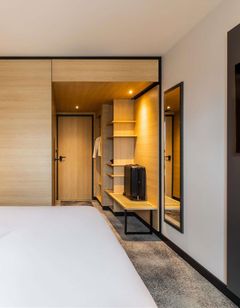 Ibis Sainte Catherine