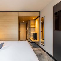 Ibis Sainte Catherine