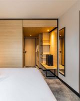 Ibis Sainte Catherine