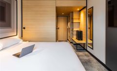 Ibis Sainte Catherine