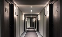 Ibis Sainte Catherine