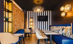 Ibis Sainte Catherine