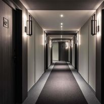 Ibis Sainte Catherine