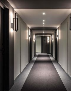Ibis Sainte Catherine