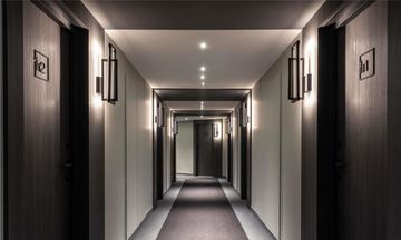Ibis Sainte Catherine
