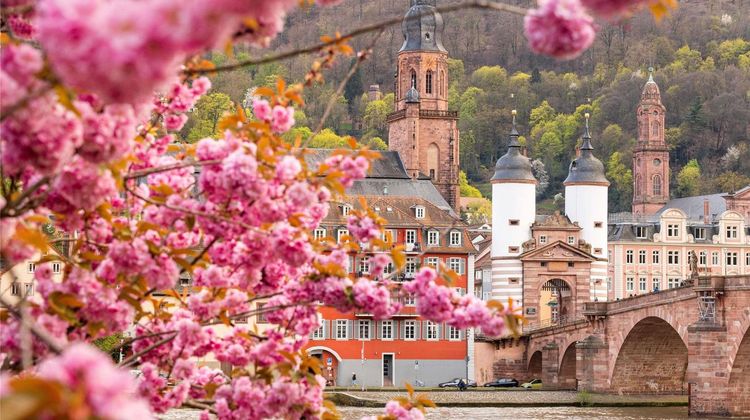 Ibis Hotel Heidelberg Exterior
