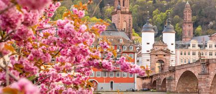 Ibis Hotel Heidelberg Exterior