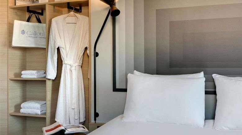 <b>Ibis Vichy Room</b>. Images powered by <a href="https://iceportal.shijigroup.com/" title="IcePortal" target="_blank">IcePortal</a>.