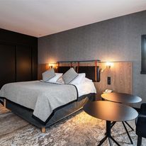 Mercure Carcassonne Cite