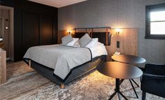 Mercure Carcassonne Cite
