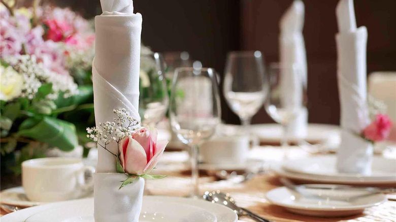 <b>Hotel Mercure Tours Sud Other</b>. Images powered by <a href="https://iceportal.shijigroup.com/" title="IcePortal" target="_blank">IcePortal</a>.