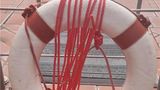 <b>Novotel Florence Nord Pool</b>. Images powered by <a href="https://iceportal.shijigroup.com/" title="IcePortal" target="_blank">IcePortal</a>.