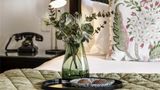 <b>Mount Lofty House Room</b>. Images powered by <a href="https://iceportal.shijigroup.com/" title="IcePortal" target="_blank">IcePortal</a>.