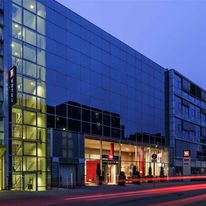 Ibis Muenster