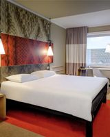 Ibis Muenster