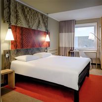Ibis Muenster