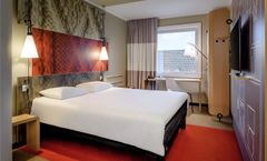 Ibis Muenster