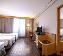 Novotel Sao Paolo Center Norte Room