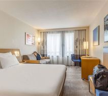 Novotel Lille Flandres Room